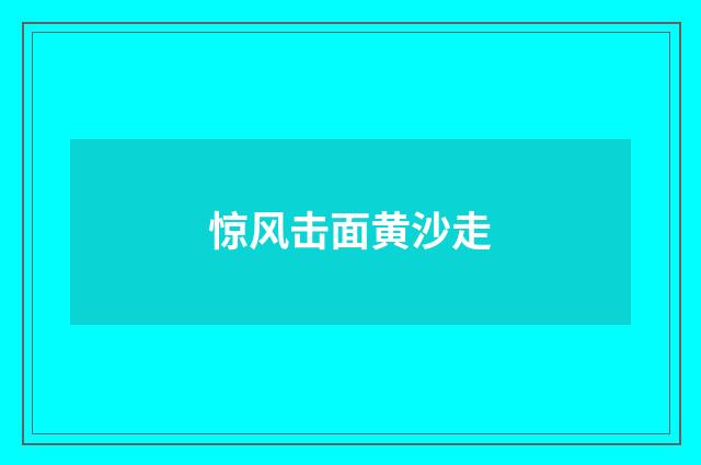 惊风击面黄沙走