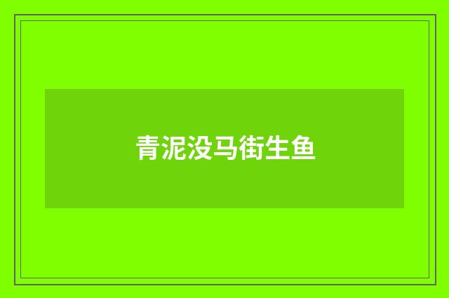 青泥没马街生鱼