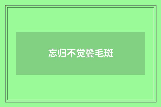 忘归不觉鬓毛斑