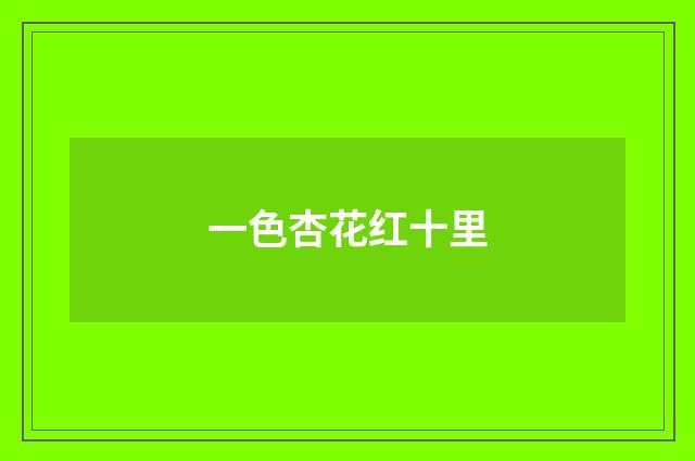 一色杏花红十里