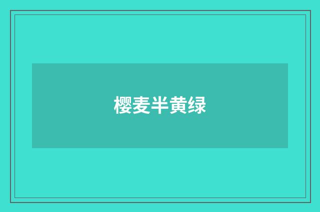 樱麦半黄绿