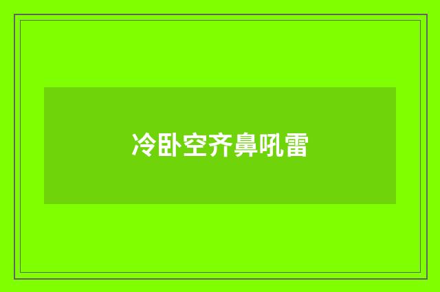 冷卧空齐鼻吼雷