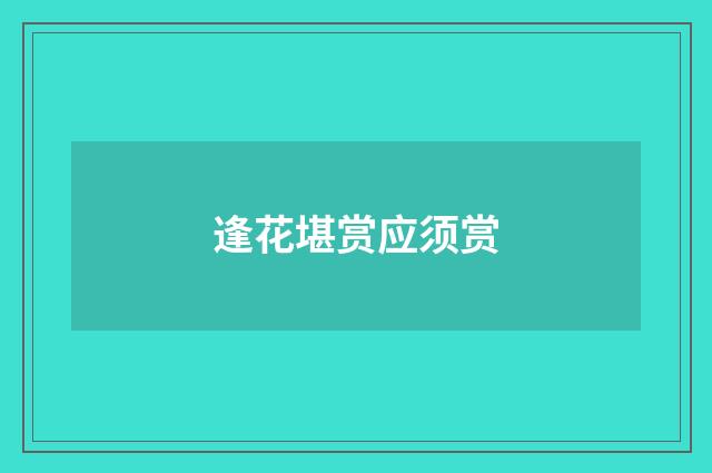逢花堪赏应须赏