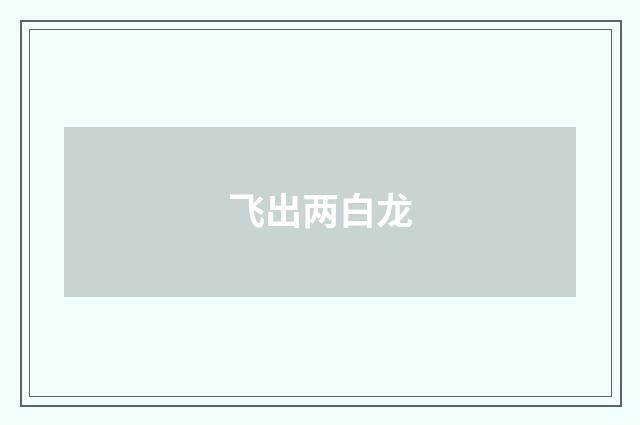 飞出两白龙