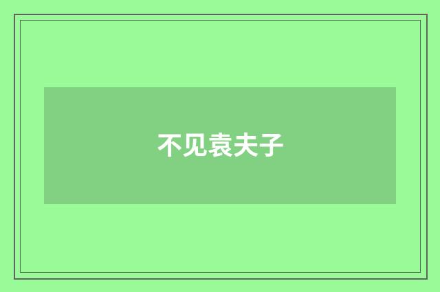 不见袁夫子