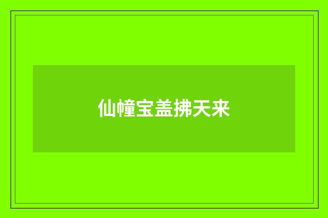 仙幢宝盖拂天来
