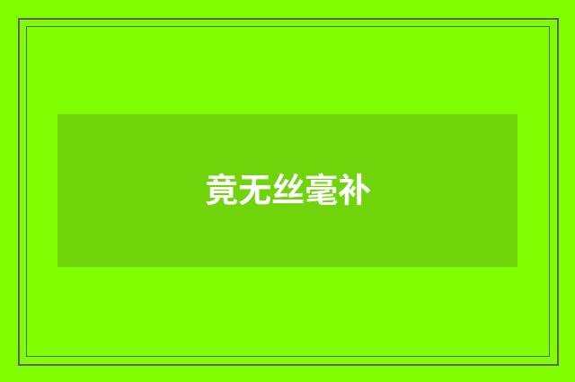竟无丝毫补