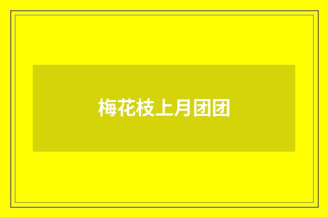 梅花枝上月团团