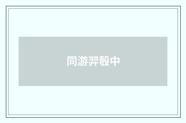 同游羿彀中