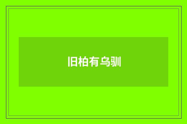 旧柏有乌驯