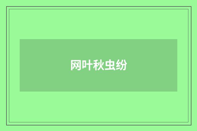 网叶秋虫纷