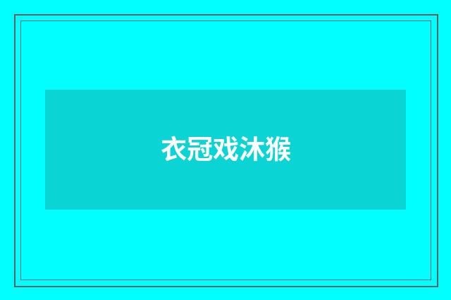 衣冠戏沐猴