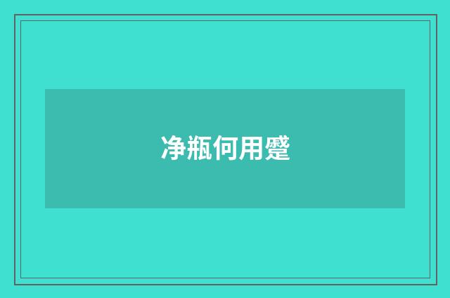 净瓶何用蹙