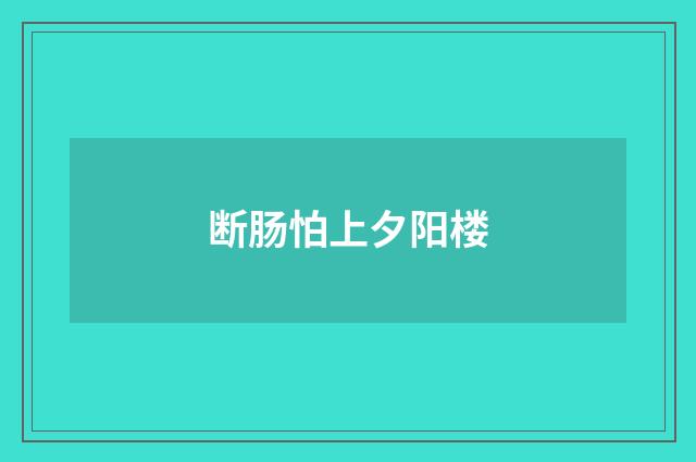 断肠怕上夕阳楼