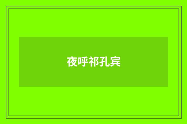 夜呼祁孔宾