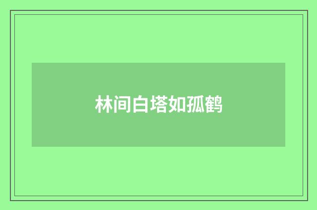 林间白塔如孤鹤