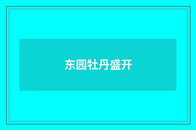 东园牡丹盛开