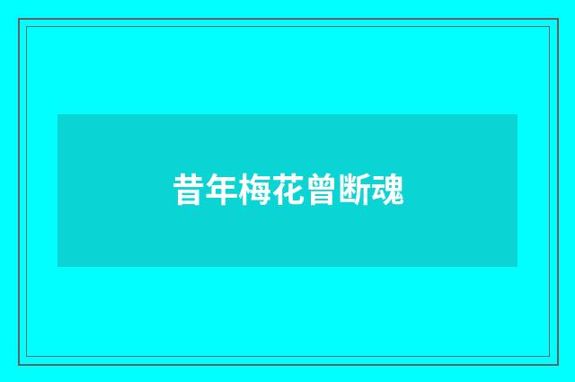 昔年梅花曾断魂
