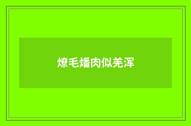 燎毛燔肉似羌浑