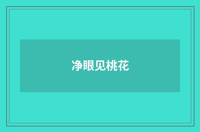 净眼见桃花