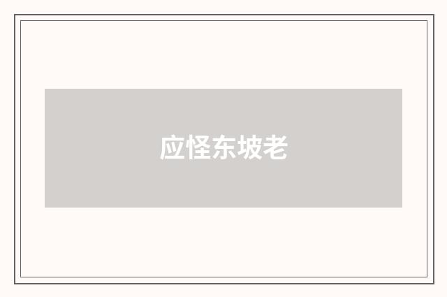 应怪东坡老