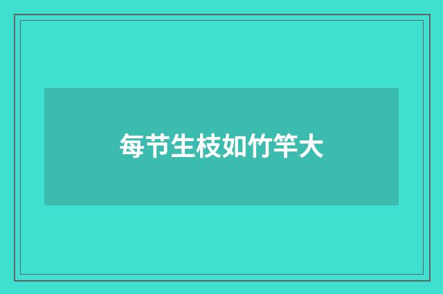 每节生枝如竹竿大