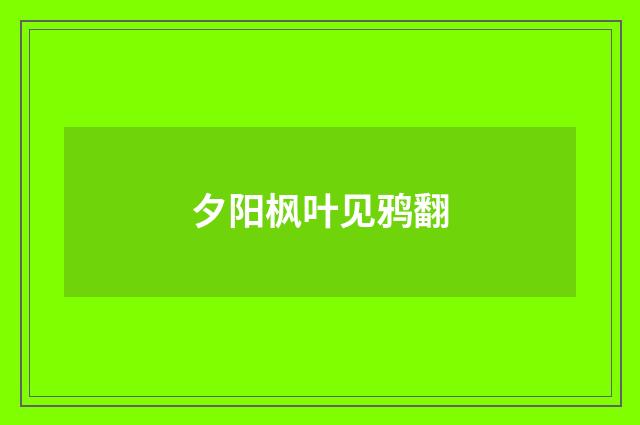 夕阳枫叶见鸦翻