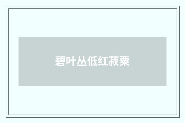 碧叶丛低红菽粟