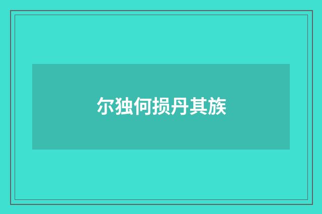 尔独何损丹其族