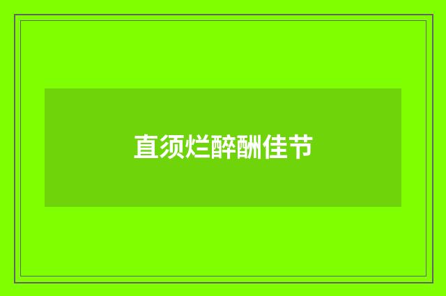 直须烂醉酬佳节