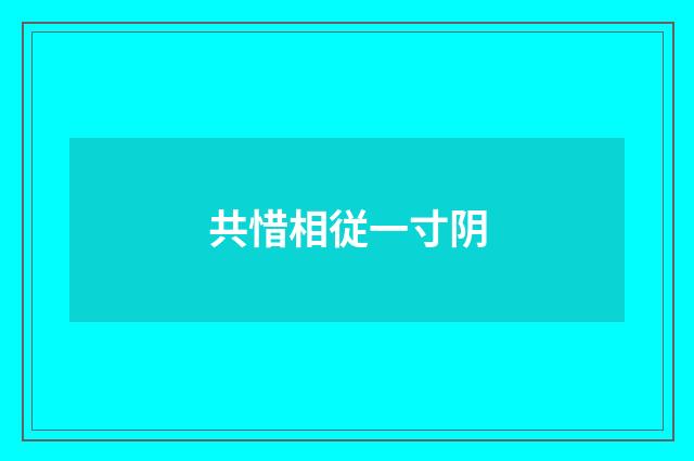 共惜相従一寸阴