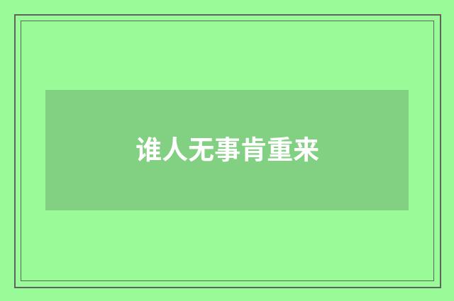 谁人无事肯重来