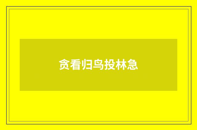 贪看归鸟投林急