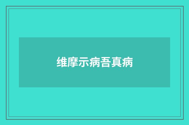维摩示病吾真病