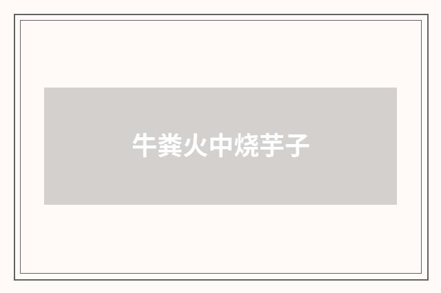 牛粪火中烧芋子