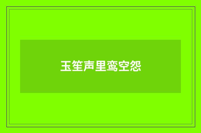 玉笙声里鸾空怨