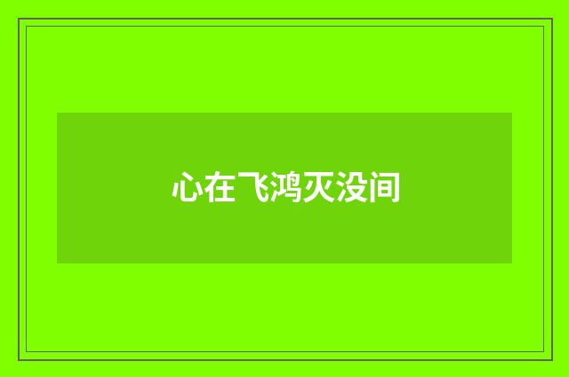 心在飞鸿灭没间