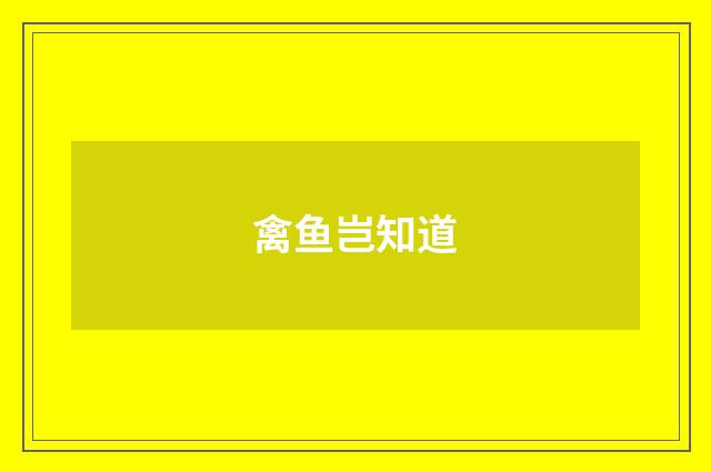 禽鱼岂知道