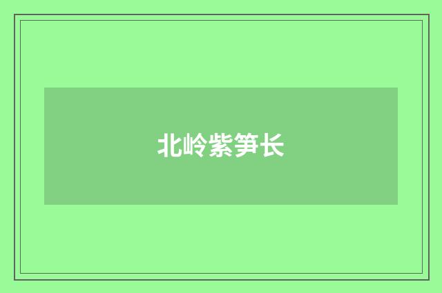 北岭紫笋长