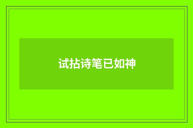 试拈诗笔已如神