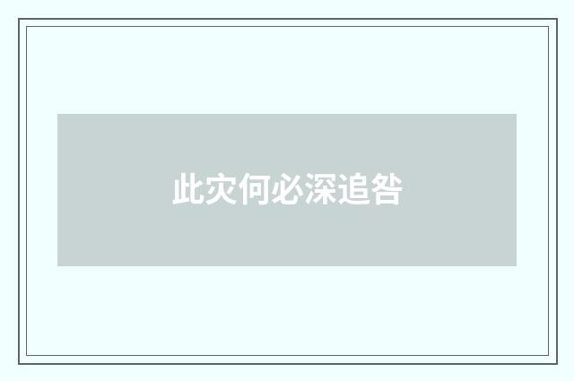 此灾何必深追咎