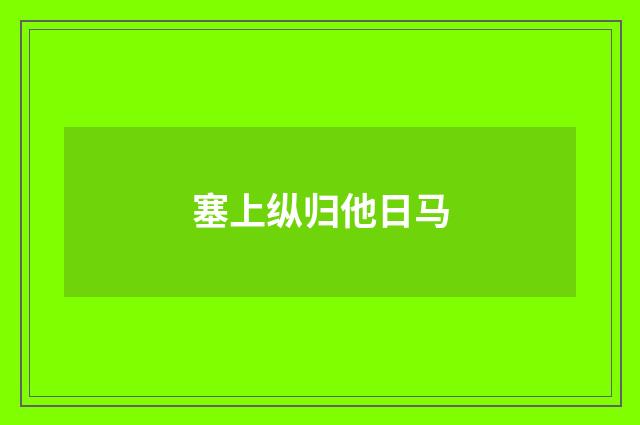 塞上纵归他日马