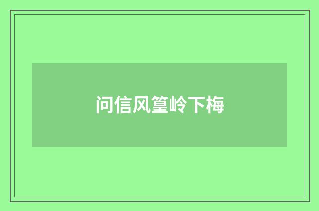 问信风篁岭下梅