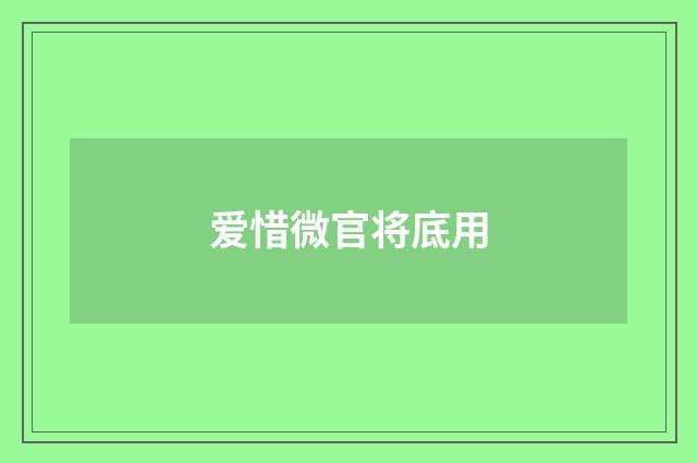 爱惜微官将底用