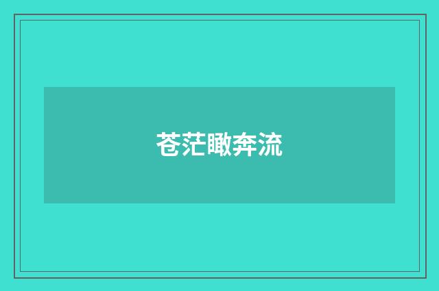 苍茫瞰奔流
