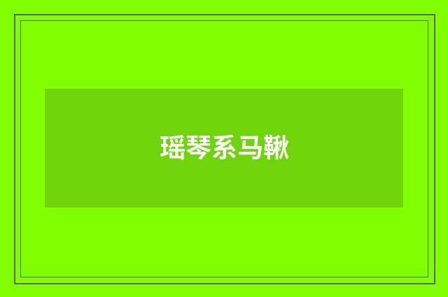 瑶琴系马鞦