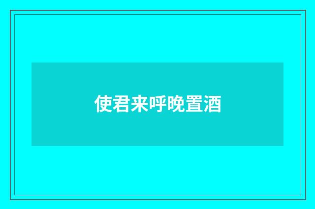 使君来呼晚置酒