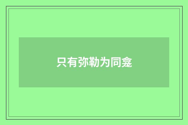 只有弥勒为同龛
