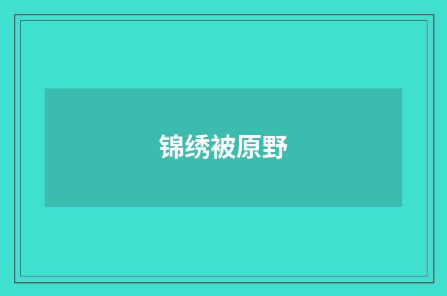 锦绣被原野