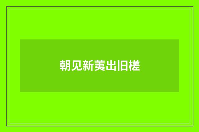 朝见新荑出旧槎